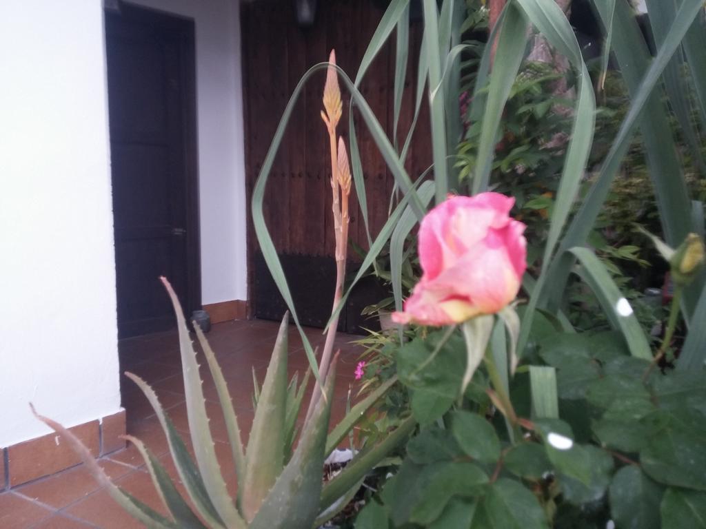 Balcon Del Velillos-"Rincon De Marcelo" Tozar Exterior photo